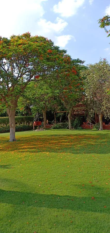 Sakkara Country Club Hotel El Hawamdeya Екстер'єр фото