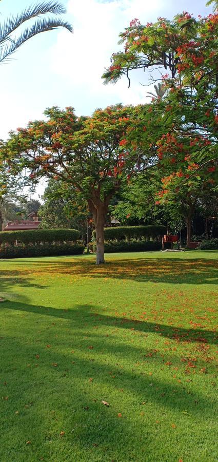 Sakkara Country Club Hotel El Hawamdeya Екстер'єр фото